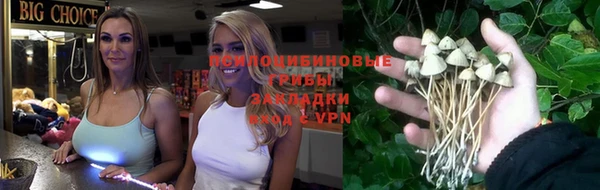 эйфоретик Верхний Тагил