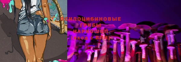 прущие грибы Верхнеуральск