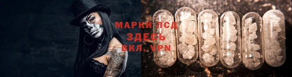 прущие грибы Верхнеуральск