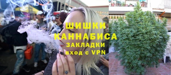 прущие грибы Верхнеуральск