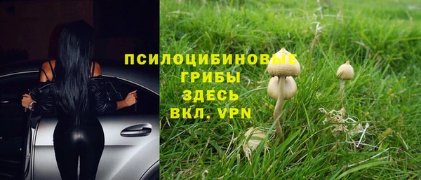 эйфоретик Верхний Тагил