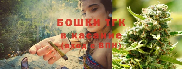прущие грибы Верхнеуральск