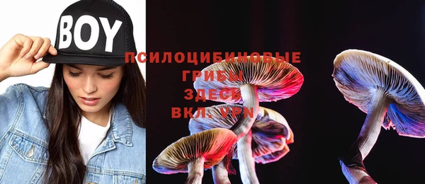 прущие грибы Верхнеуральск
