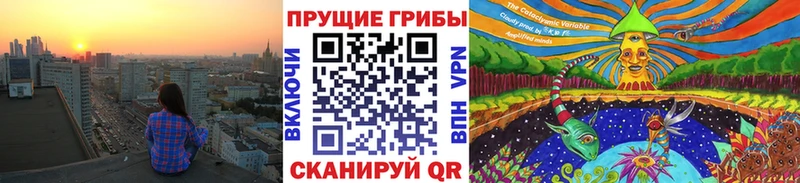 Купить где Пролетарск Псилоцибиновые грибы Psilocybine cubensis